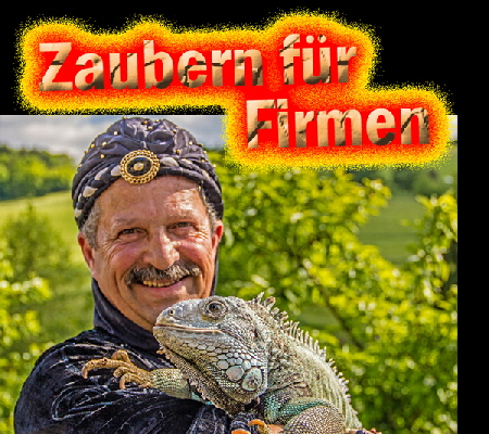 Firmen